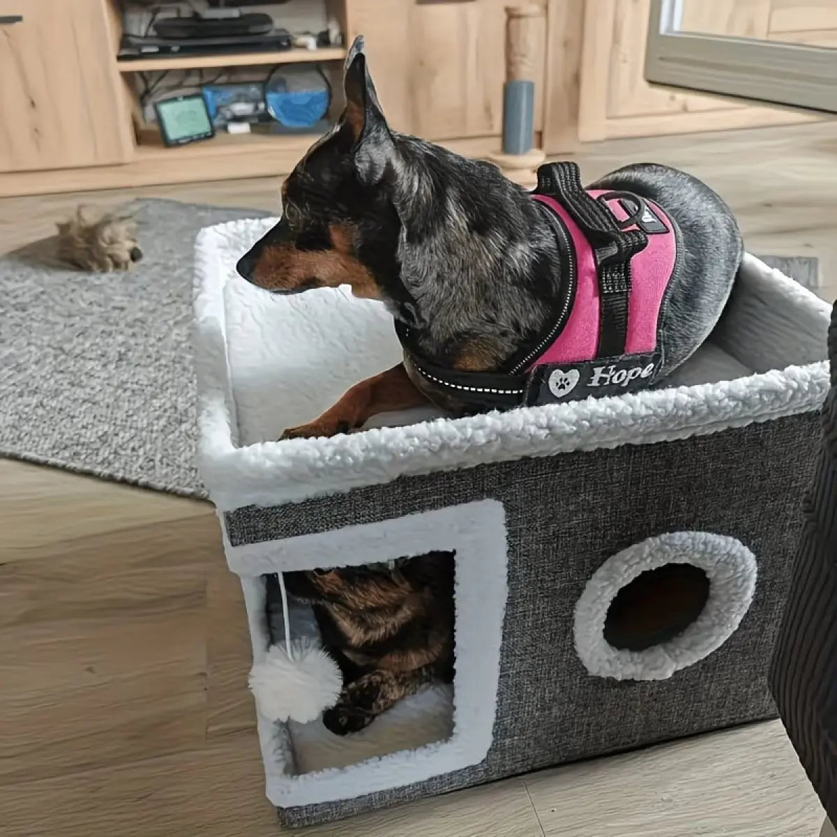 cozy indoor cat bed with fluffy balls