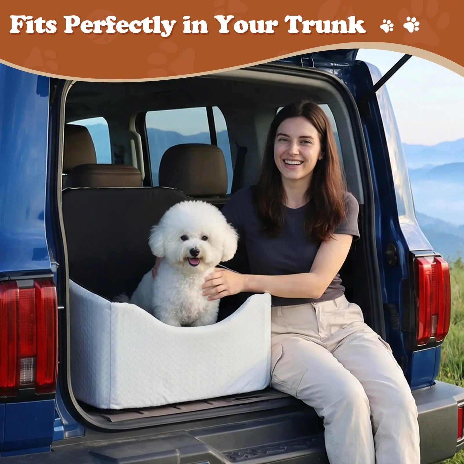 VALUXE Waterproof Dog Car Booster Seat - All-Season Enclosed Design with Seat Belt Straps for Safe Pet Travel