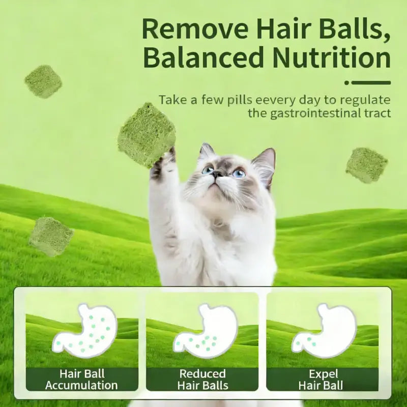 cat grass treats for hairball control