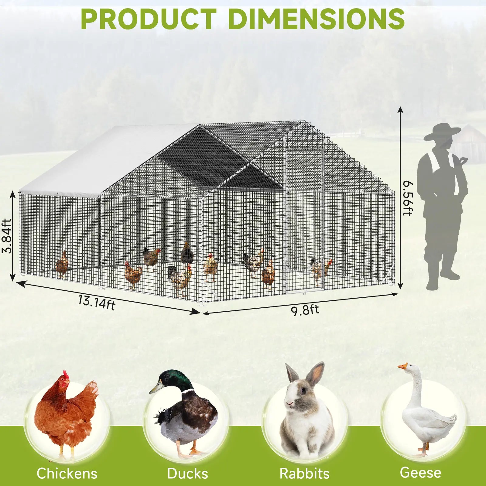 heavy-duty metal chicken coop