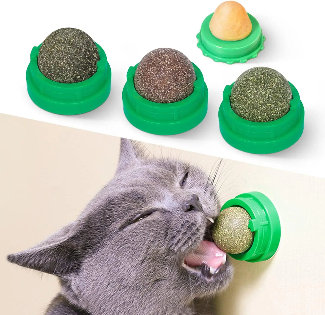 Exciting Catnip Balls for Cats - 4 Pack Edible Silvervine Toys for Healthy Teeth &amp; Extra Fun!