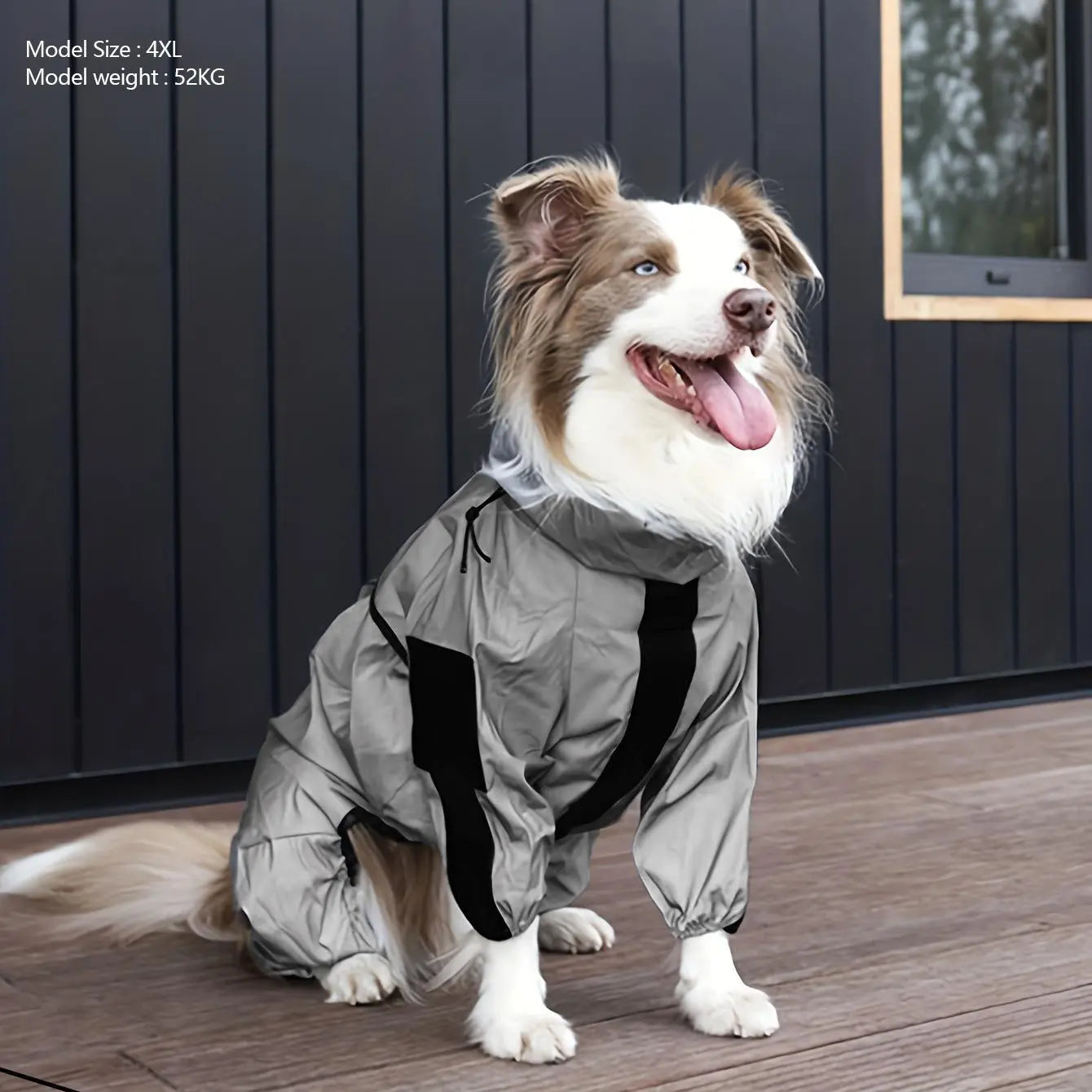 winter dog raincoat