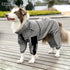 winter dog raincoat