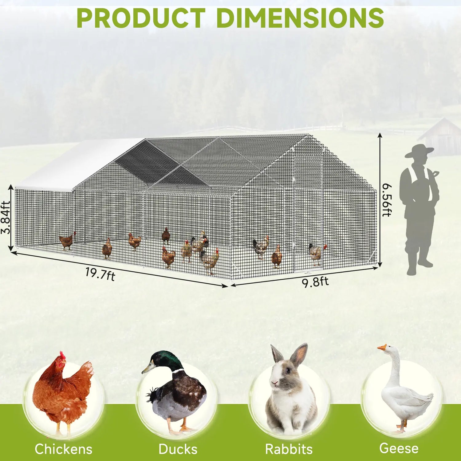 heavy-duty metal chicken coop