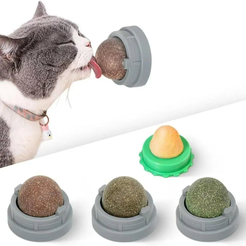 Exciting Catnip Balls for Cats - 4 Pack Edible Silvervine Toys for Healthy Teeth &amp; Extra Fun!