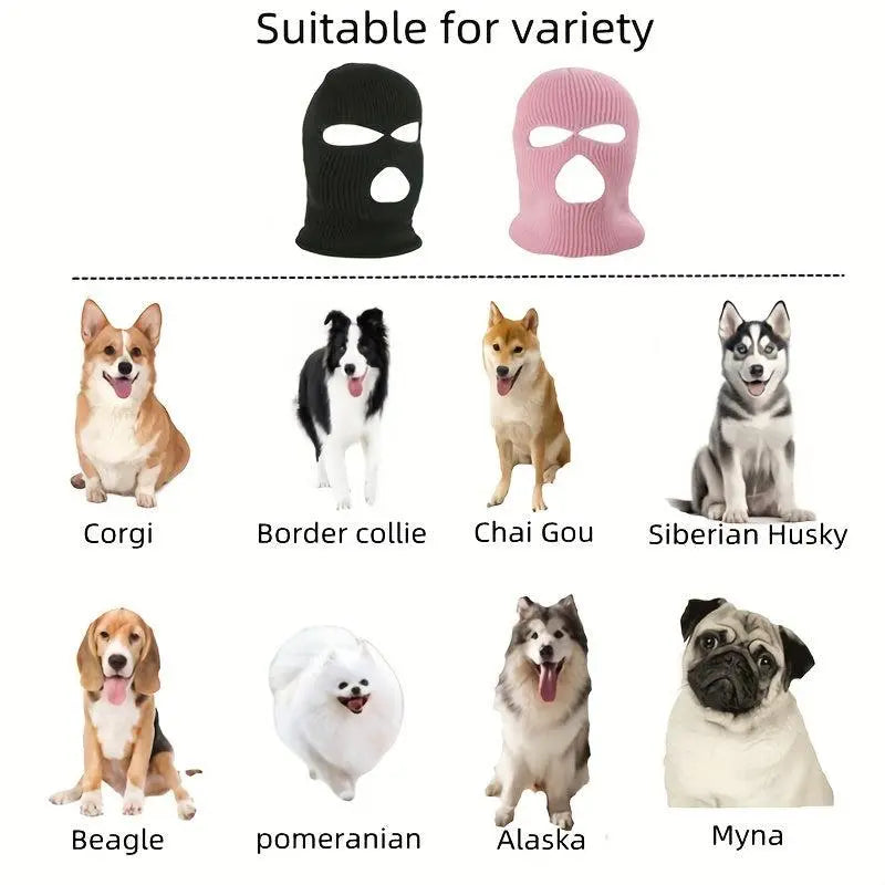 dog warm hat and glasses set