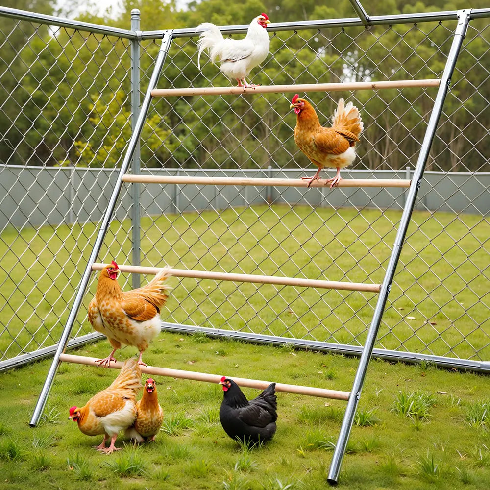 PAWGIANT Chicken Roosting Bars - Easy Assembly Wooden Perches &amp; Activity Ladders for Happy Chickens!
