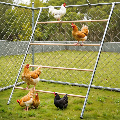 PAWGIANT Chicken Roosting Bars - Easy Assembly Wooden Perches & Activity Ladders for Happy Chickens!