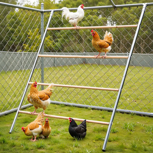 PAWGIANT Chicken Roosting Bars - Easy Assembly Wooden Perches & Activity Ladders for Happy Chickens!