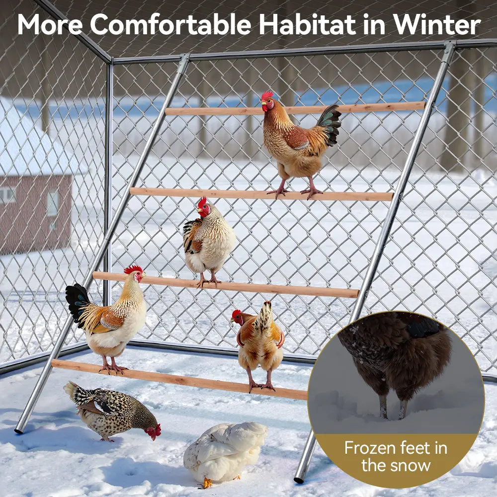 PAWGIANT Chicken Roosting Bars - Easy Assembly Wooden Perches &amp; Activity Ladders for Happy Chickens!