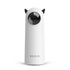 Interactive Smart LED Laser Cat Toy - Automatic Teasing Fun for Indoor Cats and Dogs!