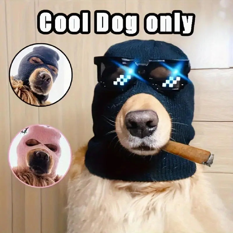 dog warm hat and glasses set