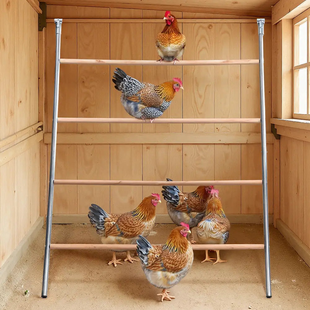 PAWGIANT Chicken Roosting Bars - Easy Assembly Wooden Perches &amp; Activity Ladders for Happy Chickens!