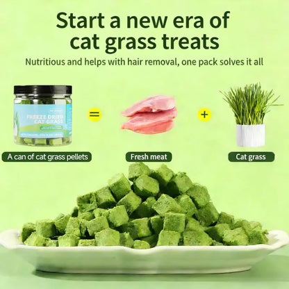 Delicious Cat Grass Treats with Catnip - Hairball Control & Teeth Cleaning Snack (70G, Salmon Flavor)