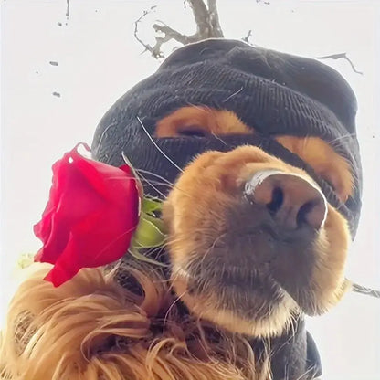 2Pcs/Set Interesting Dog Warm Hat and Pet Dress up Glasses - Autumn and Winter Pet Head Cover, Pet Windproof Mask, Dog Head Decoration Hat