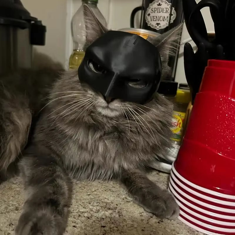 Adorable Matte Bat Cat Mask - Perfect Cosplay Accessory for Pets, Parties, and Daily Fun!
