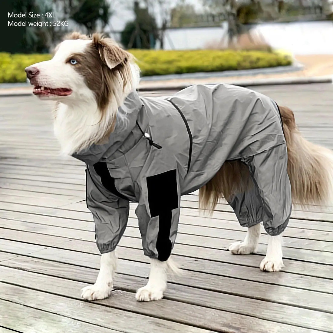 winter dog raincoat
