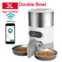 smart automatic cat feeder