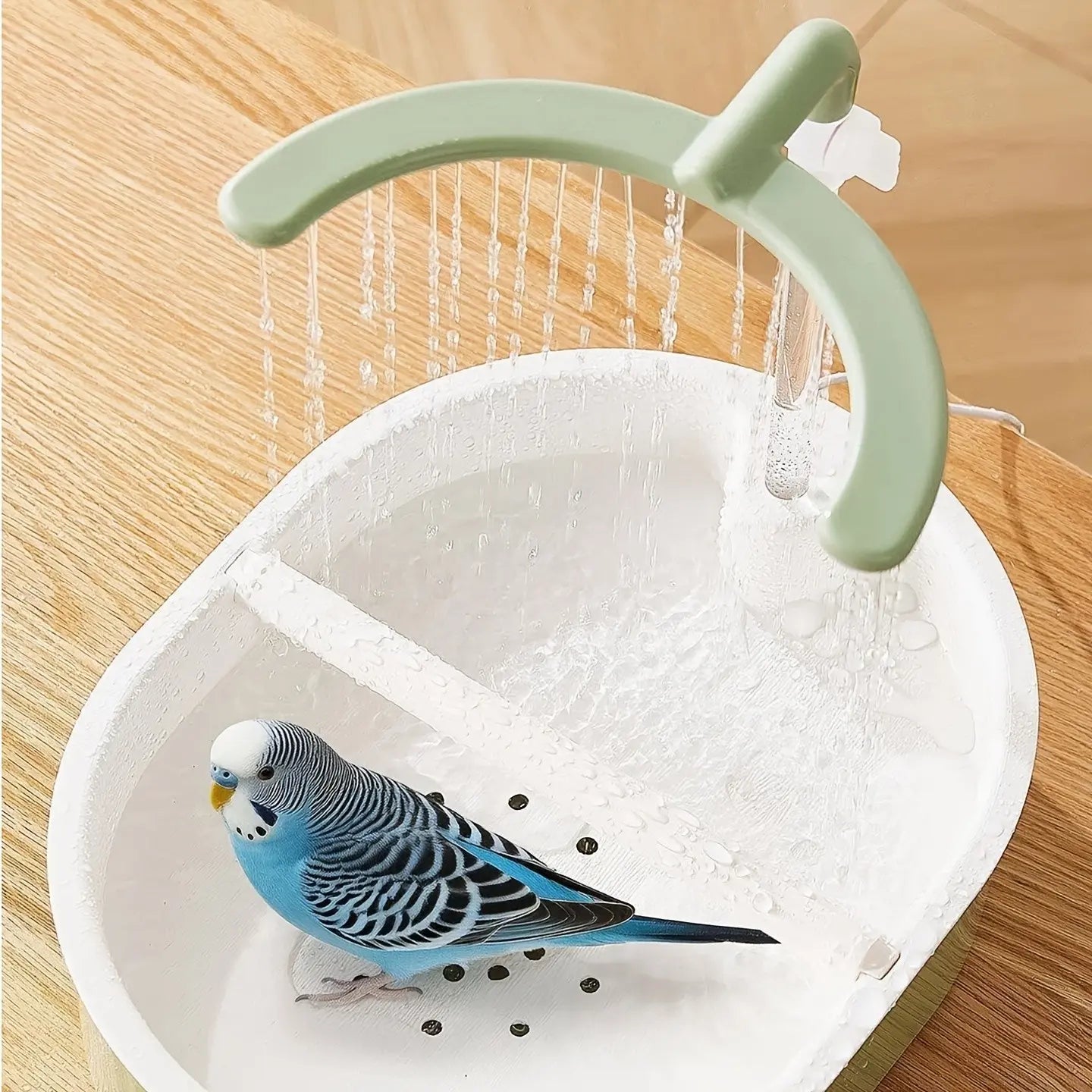 automatic bird bath shower for parrots