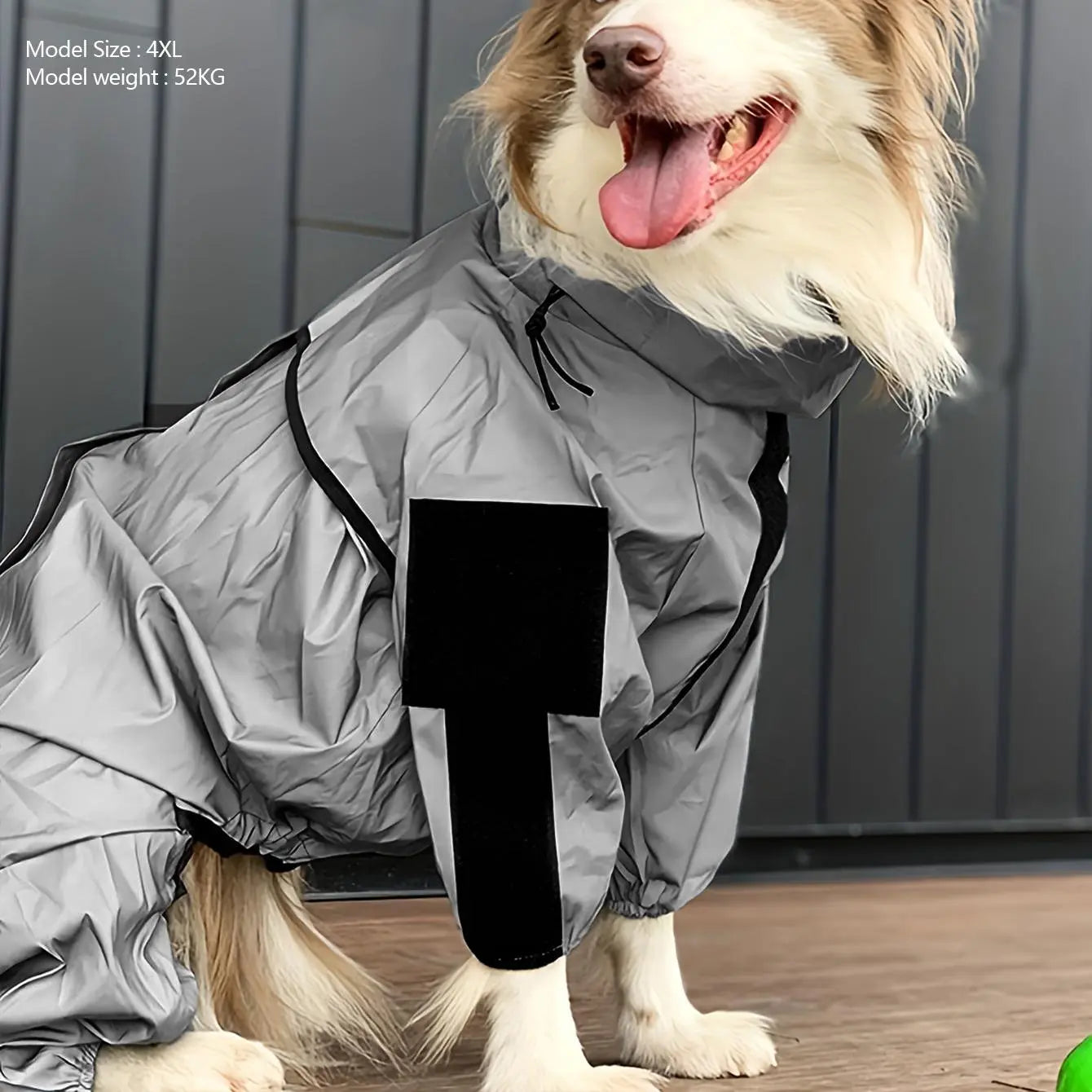 winter dog raincoat