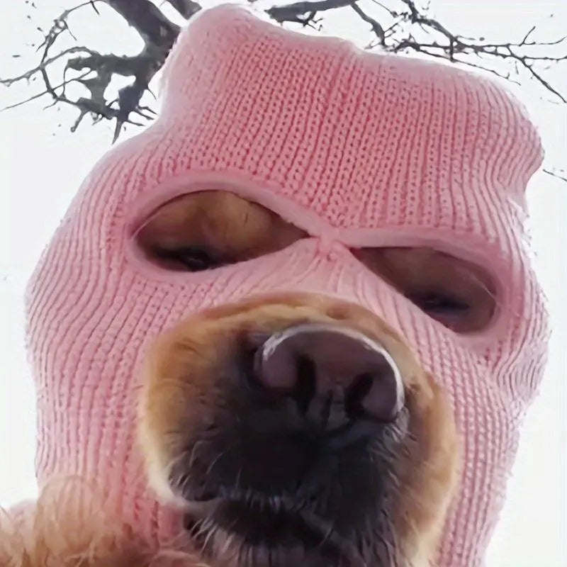 dog warm hat and glasses set