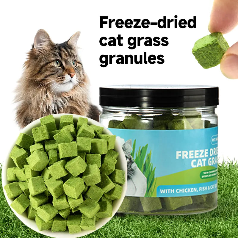 cat grass treats for hairball control