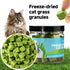 cat grass treats for hairball control