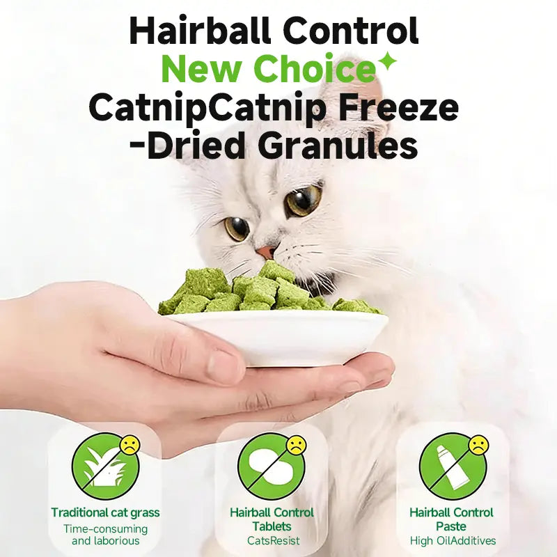 cat grass treats for hairball control
