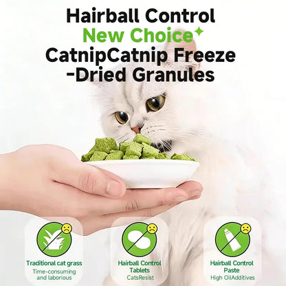 Delicious Cat Grass Treats with Catnip - Hairball Control & Teeth Cleaning Snack (70G, Salmon Flavor)