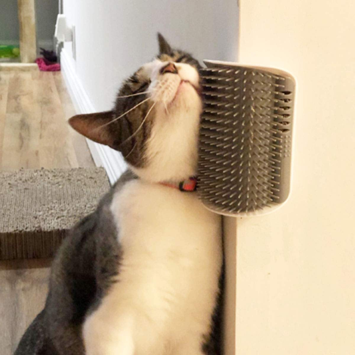 2 Pack Catnip Wall Corner Massage Comb &amp; Scratcher - Soft Grooming Brush Tool for Cats &amp; Dogs (Gray)