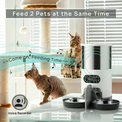 smart automatic cat feeder