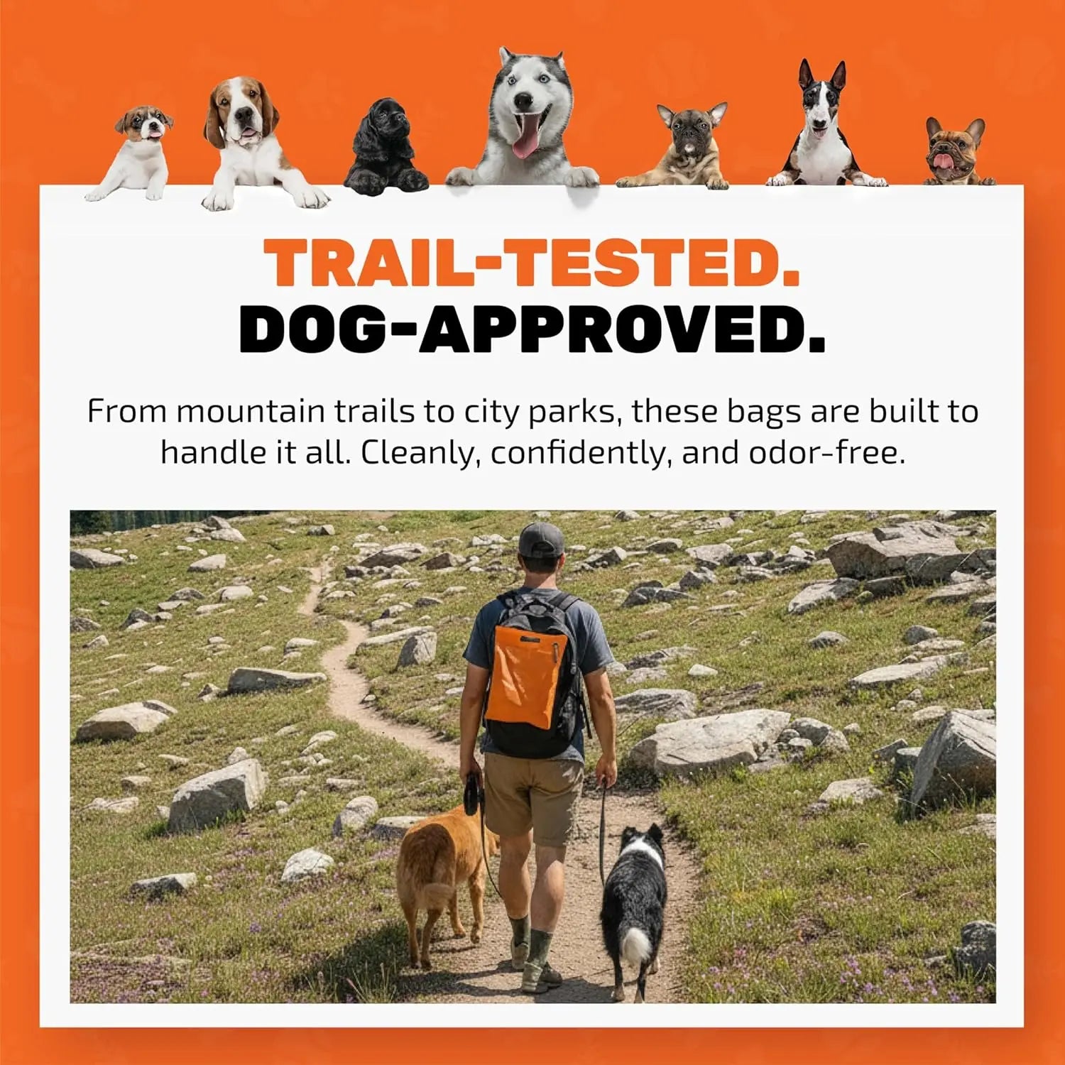smell-proof dog waste bags