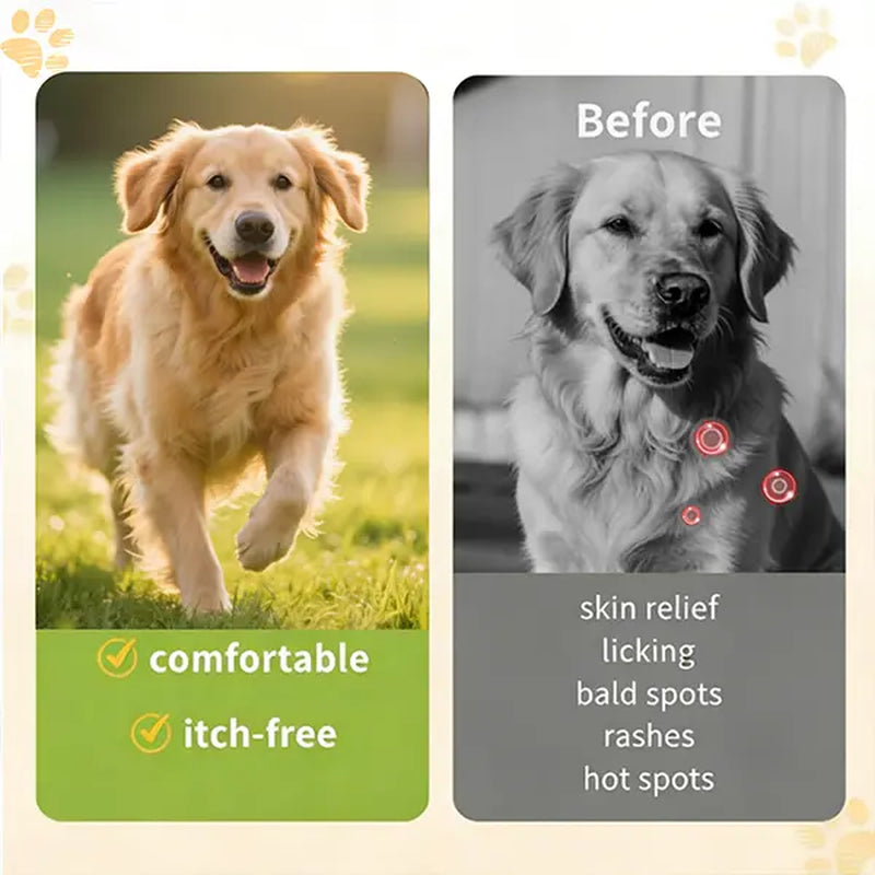 flea and tick chews for dogs.