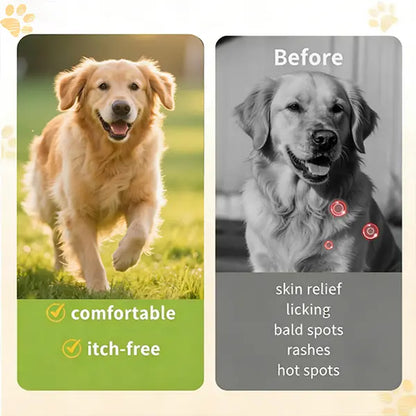 Sbbc Flea & Tick Relief Chews for Dogs - Itch-Relieving & Skin Repair - 100 Soft Chews in Delicious Chicken Flavor