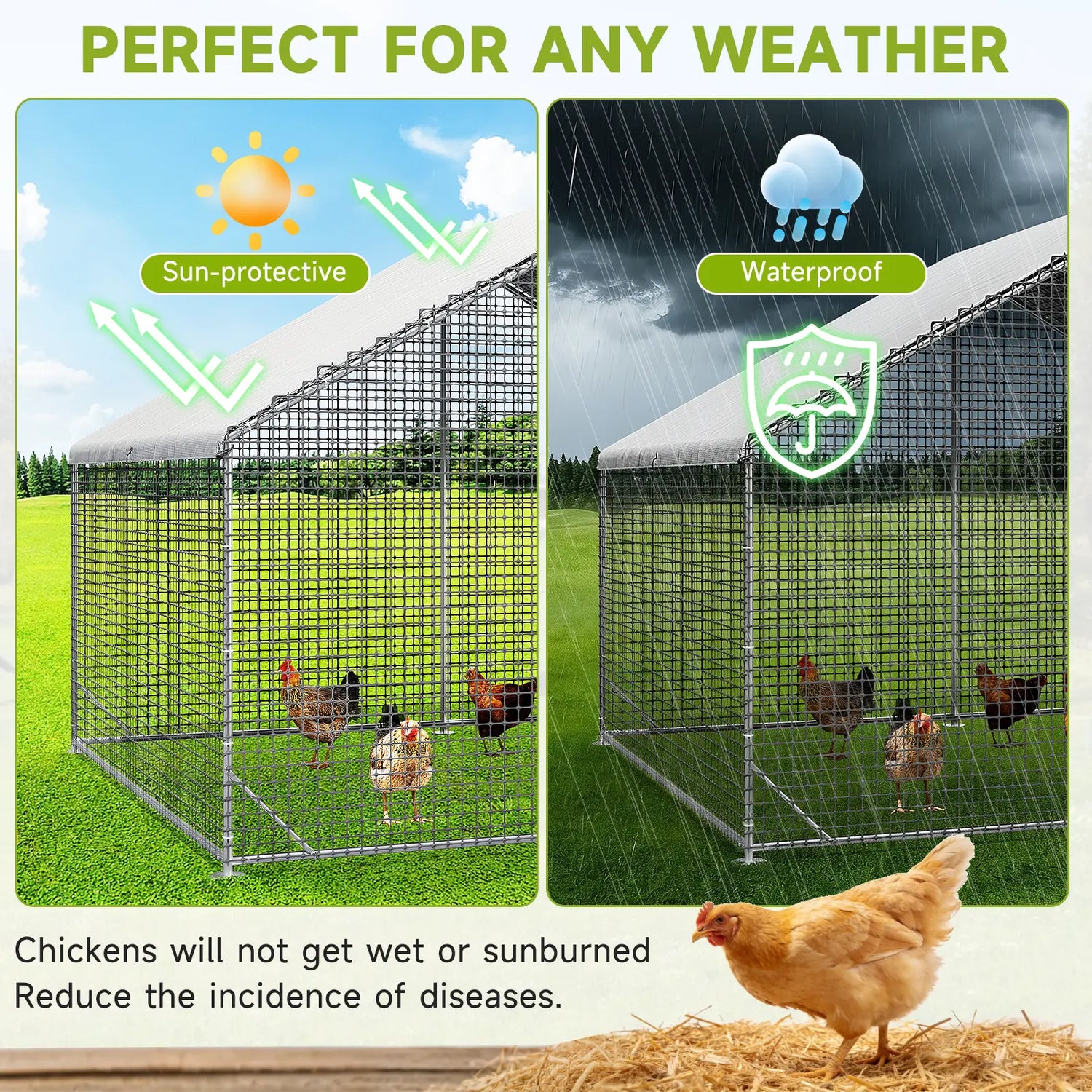 heavy-duty metal chicken coop
