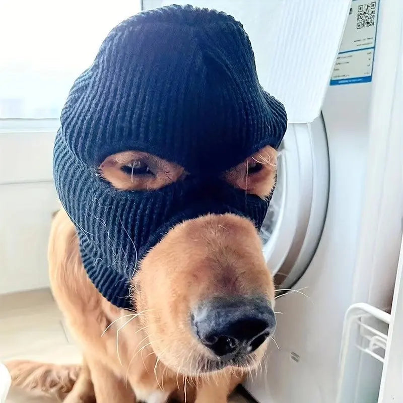 dog warm hat and glasses set