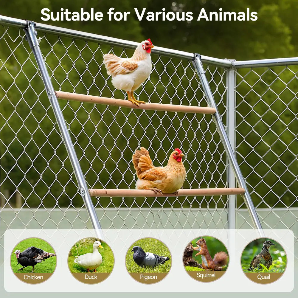 PAWGIANT Chicken Roosting Bars - Easy Assembly Wooden Perches &amp; Activity Ladders for Happy Chickens!