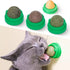 Exciting Catnip Balls for Cats - 4 Pack Edible Silvervine Toys for Healthy Teeth & Extra Fun!