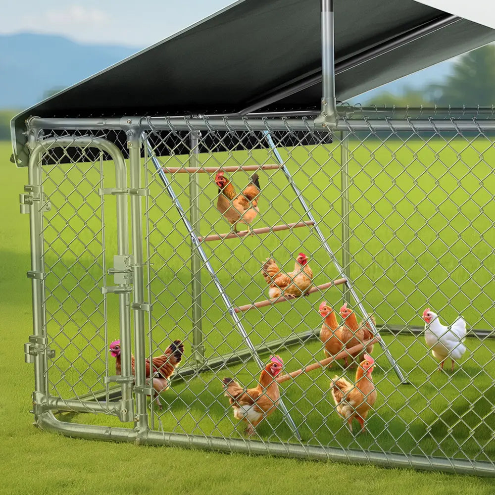 PAWGIANT Chicken Roosting Bars - Easy Assembly Wooden Perches &amp; Activity Ladders for Happy Chickens!
