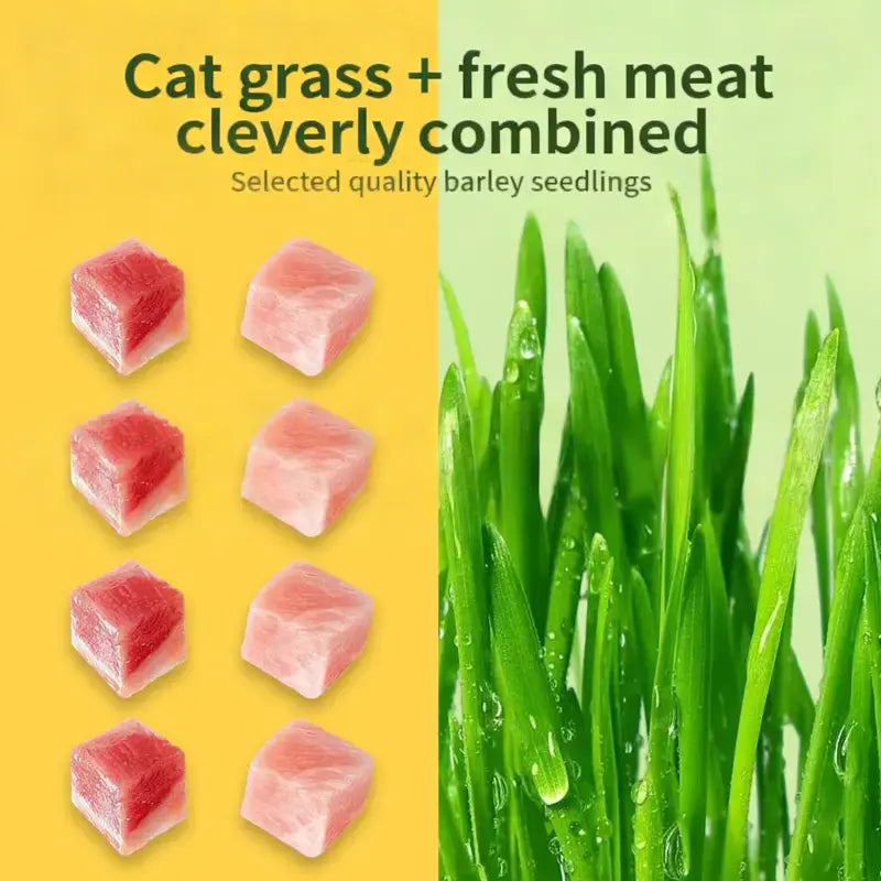 cat grass treats for hairball control