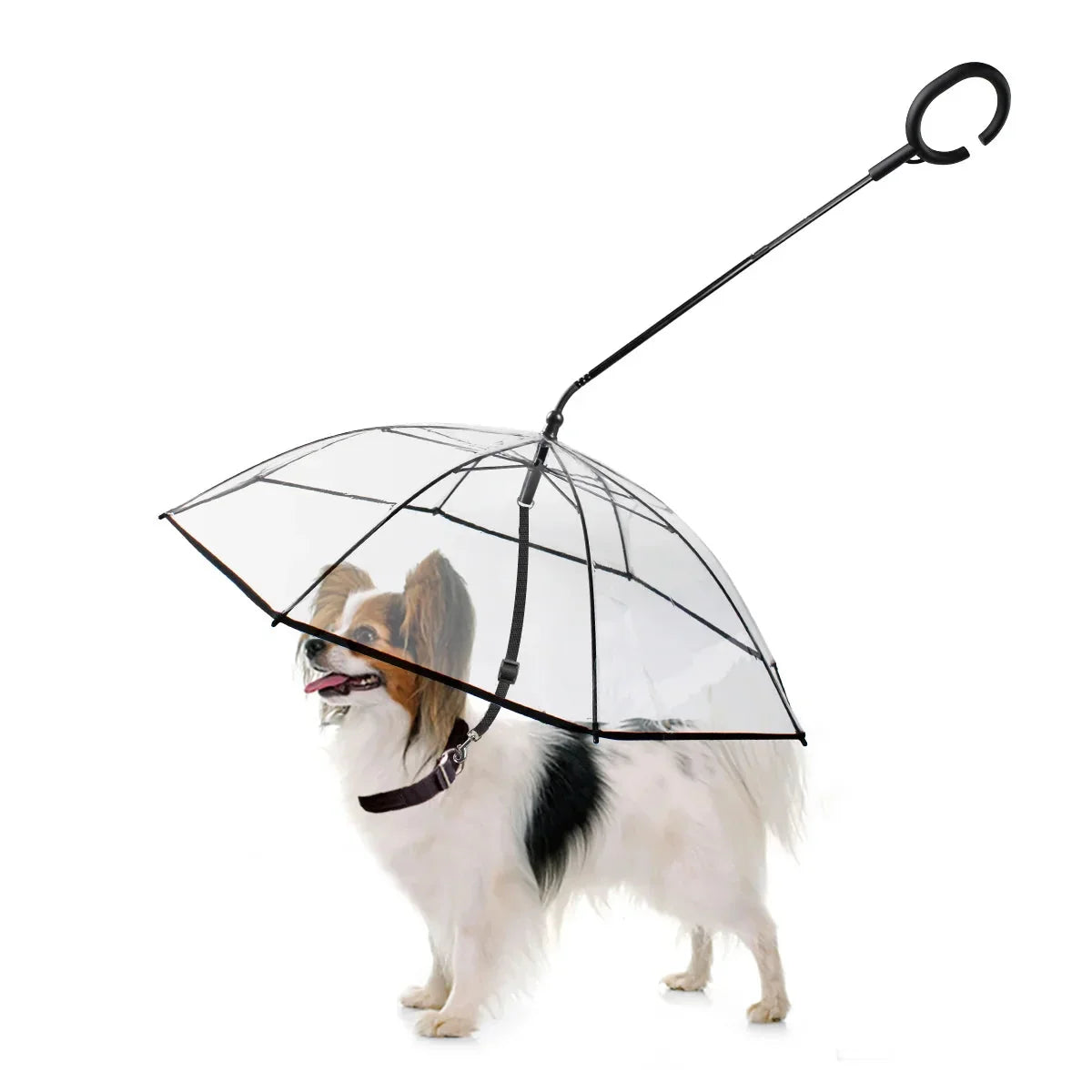 dog umbrella for rainy walks